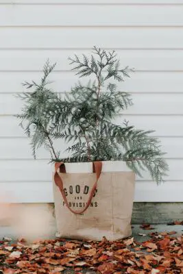 jute zak voor een plant