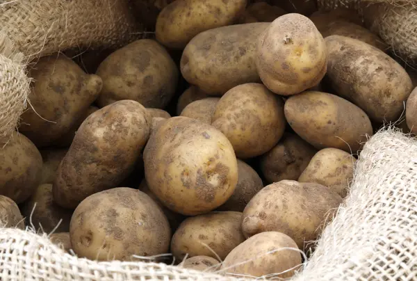 aardappelen in een jute zak